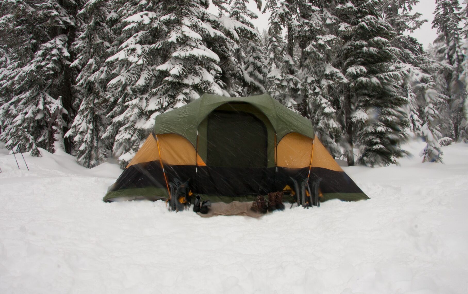 The campsite